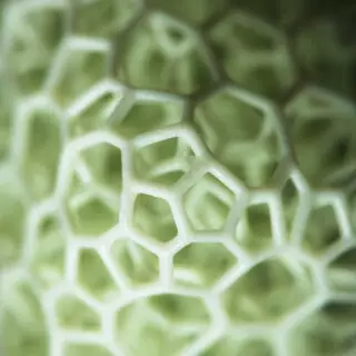 stampa 3d carbon lattice image