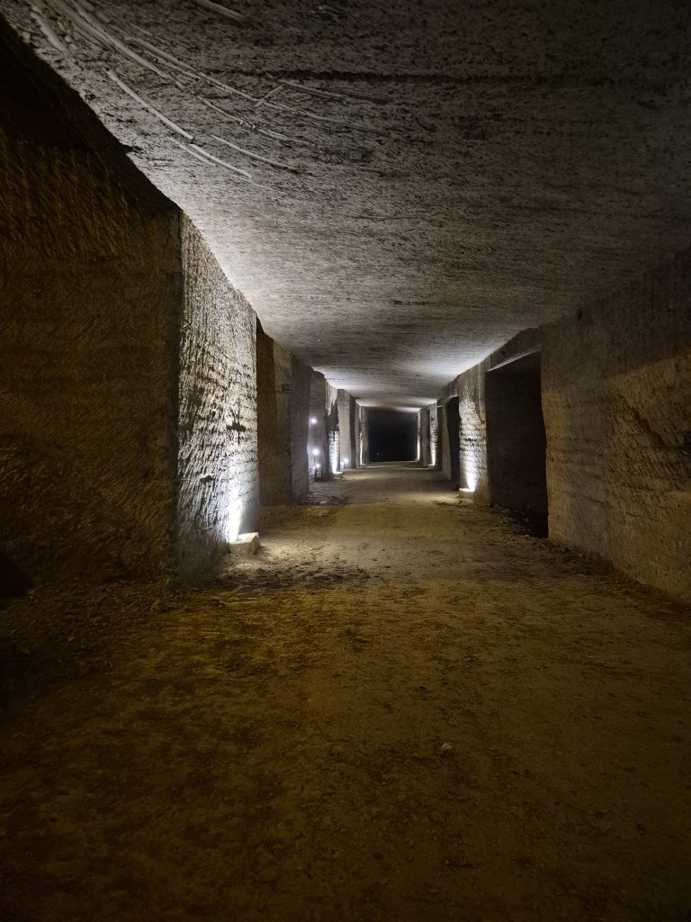 stampa 3D HP Multi Jet Fusion 7